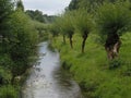 A beautiful park with a small river then surrounded by trees in the forest